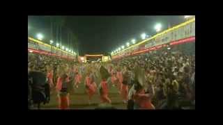 阿波踊り2013 AWAODORI Japanese traditional dance event in Tokushima