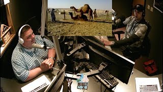 We watch camel mating