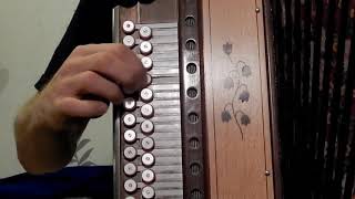 Матаня(как играть на гармони)
