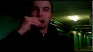 БитБокс и губная гармошка (harmonica and beatbox)