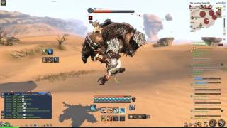 BnS rRandom Kfm Questing
