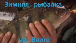 Диалоги о рыбалке -  207- Нижний Новгород, рыбалка в Разнежье