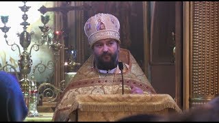 ПРОПОВЕДУЙТЕ Евангелие кто как может!!! Прот.Андрей Ткачёв (29.10.2017г.)