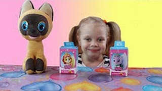 ✽ Свит Бокс КОРОЛЕВСКИЕ питомцы Распаковка Sweet Boxing ROYAL Pets unboxing