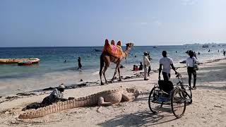 The beauty of Bamburi Beach Hotel. It's a nice place to be, with clean ocean shore.