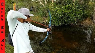 BOWFISHING SLOW MOTION Compound Bow vs Recurve Bow