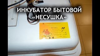 Купил инкубатор несушка на 77 яиц