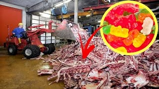 9 CHOSES QUE VOUS NE SAVEZ PAS SUR VOS BONBONS ! HARIBO, LUTTI....