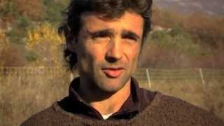 Mouton 2.0 - La puce à l'oreille