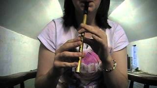 Irish Tin Whistle: The Old Grey Goose | Jig