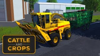 Cattle and Crops | Farming Series 07