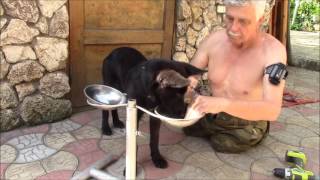 Кормушка для собаки своими руками.  Дополнение.  Фильм 2.