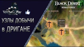Black Desert online.Узлы добычи мельхиора и других ресурсов в Дригане!