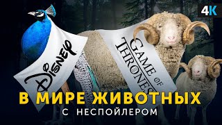 В Мире Животных с Неспойлером. Зоопарк "2019".