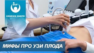 УЗИ при беременности вредно или нет? Мифы про узи плода  Акушерство и гинекология
