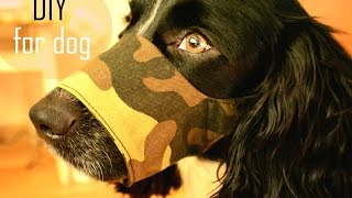Как сделать выкройку намордника? Как сшить намордник?