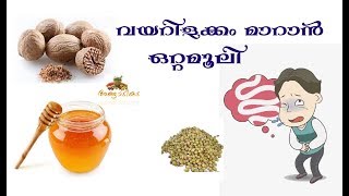 വയറിളക്കം മാറാൻ  vayarilakkam maaran ottamooli malayalam home remedys