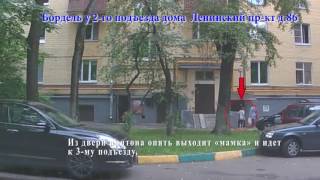 Бордель. Ленинский пр-кт д.86