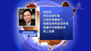 【禁闻】有效控制猪瘟？仅剩一省未传疫情