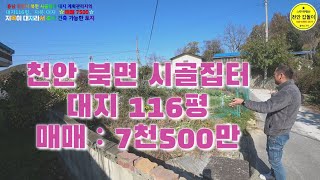 바로주택을 지을수 있는 대지116평 계획관리지역 매매