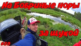 Рыбалка. На бобриные норы за щукой