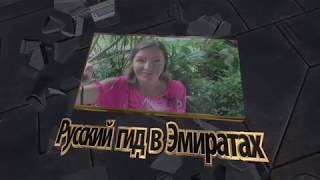 Шок|Морские змеи в Эмиратах|Что нужно делать если Вы нашли морскую змею на пляже