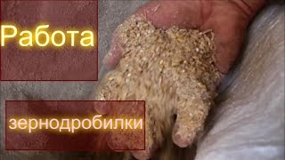 Зернодробилка своими руками. Измельчаем без пыли. Зерно, скорлупу и т.д.