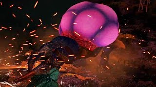Witcher 3: Harrisi the Arachnas Boss Fight (Hard Mode) (4K 60fps)