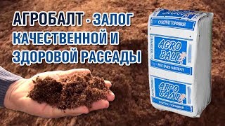 ТОРФ АГРОБАЛТ - ЗАЛОГ КАЧЕСТВЕННОЙ И ЗДОРОВОЙ РАССАДЫ (02-12-2019)