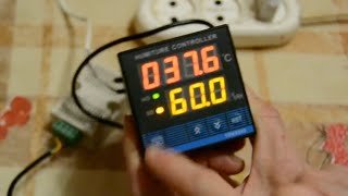 Настройка терморегулятора для инкубатора TDK-0302.Таганрогский живой уголок.