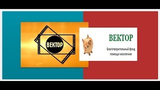 Фонд помощи населению «Вектор». Честный отзыв