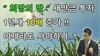 "희망의 땅" 새만금 투자 1년새 10배 증가!! 이제라도 사야하나..? (토지, 투자, 새만금, 부동산)