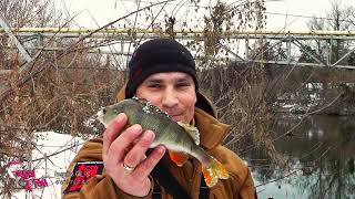 Как выбрать недорогой спиннинг для ультралайта: обзор Crazy Fish Inspire