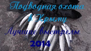 Подводная охота в Крыму. Лучшие выстрелы 2014