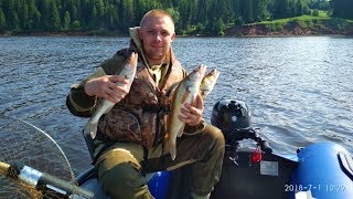 Ловля судака на троллинг первый раз