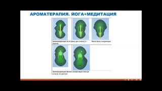 Компьютерная диагностика организма Кано Минск энергетика аура функции органов