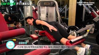 [센트리얼 P.T 1분 운동] 햄스트링 강화와 힙업에 효과적인 하체운동, Lying leg curl