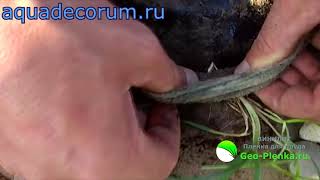 Отзыв на пленку Винилит от партнера. Часть 1