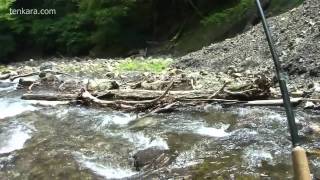 2011年05月25日「テンカラは職漁師の釣り Once tenkara fishing was a job 」tenkara.com