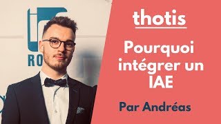 Pourquoi intégrer un IAE (Écoles Universitaires de Management) ? - Thotis