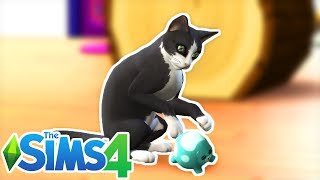 A HOUSE FULL OF PETS...WHAT COULD GO WRONG ?? | THE SIMS 4