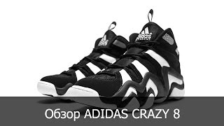 Обзор adidas Crazy 8 | Кроссовки Kobe Bryant