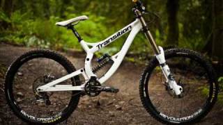 Downhill bikes 2010