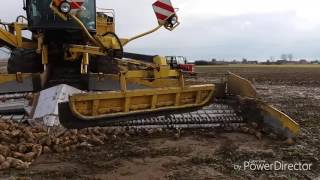 Odbiór buraków cukrowych 2016 w Orpiszewie