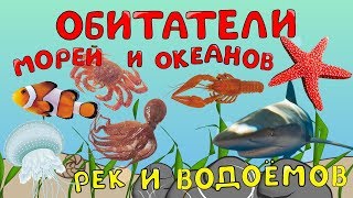 Обитатели морей и океанов, рек и водоемов. Изучение слов. Развивающие мультики.