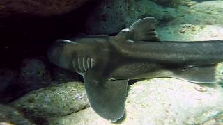 Fishing around Jervis Bay