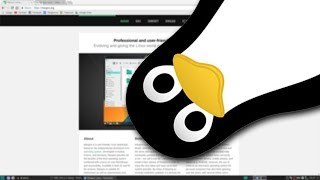 Voici ma distribution Linux préférée !
