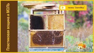Выпуск №21. Пластиковая вощина и моль