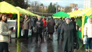 Золотая осень  Ул. Юных ленинцев д.52 ЯРМАРКА