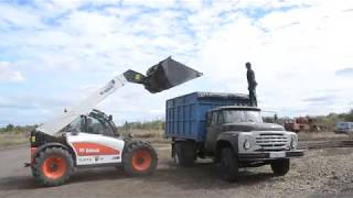 Работа телескопического погрузчика Bobcat на зерне